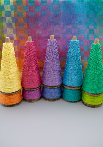 10 Color Petite Gamp Kit Tints